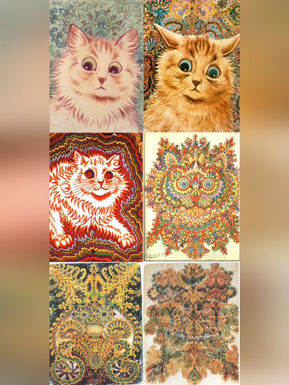 Colorful Cat Art Print Set - Multicolor Decorative Pet Wall Art